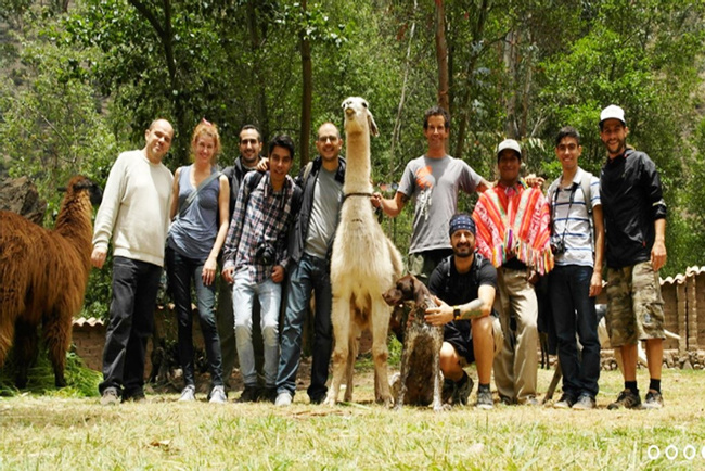 Half-Day Llama Pack Project Photo